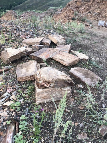 Плитняк кора дерева 50-100мм для пошаговых дорожек купить в Нальчике